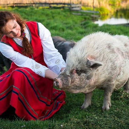 Apartamento Tierstiftung Eulalia Babieta Exterior foto